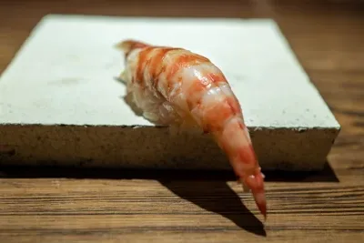 Crevettes enceintes : reconnaître la gestation, préparer le bac et accompagner la naissance